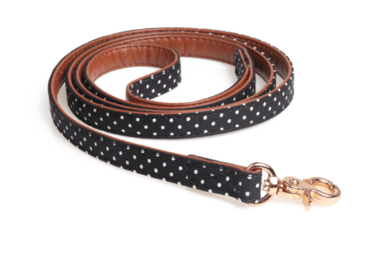 Polka Dot Pet Fashion Set: Triangle Scarf Collar, Bowknot Collar, And Leash