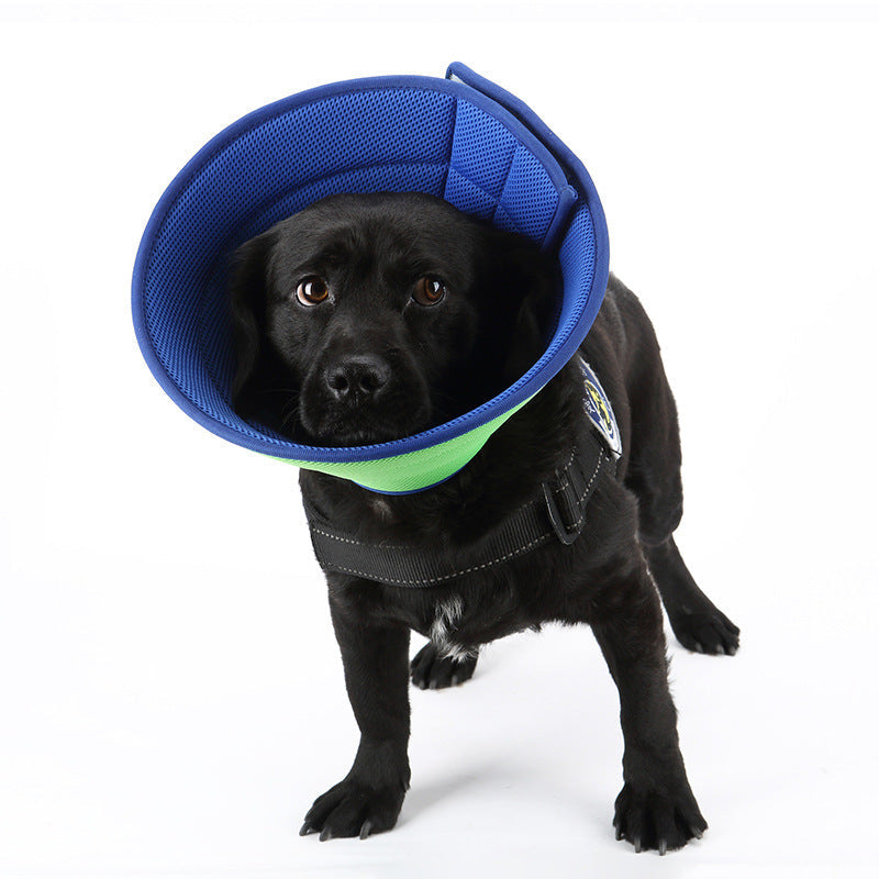 Pet Recovery Collar for Dogs and Cats