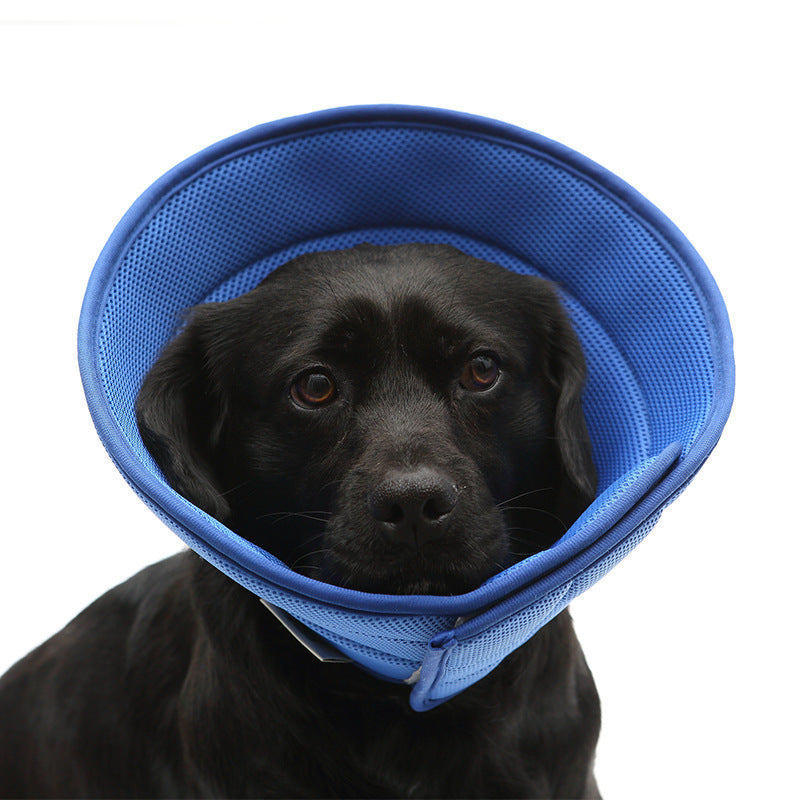 Pet Recovery Collar for Dogs and Cats