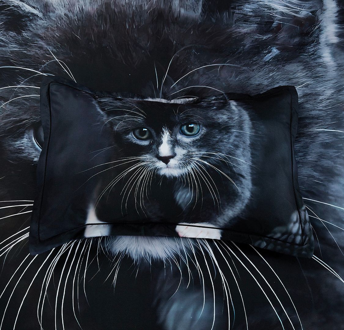 NNEDSZ Cat Quilt Cover Set - King Size