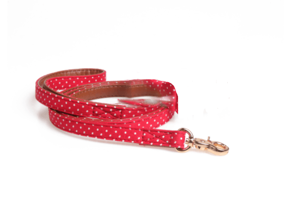 Polka Dot Pet Fashion Set: Triangle Scarf Collar, Bowknot Collar, And Leash