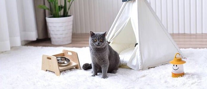 White Pet Teepee With Cushion